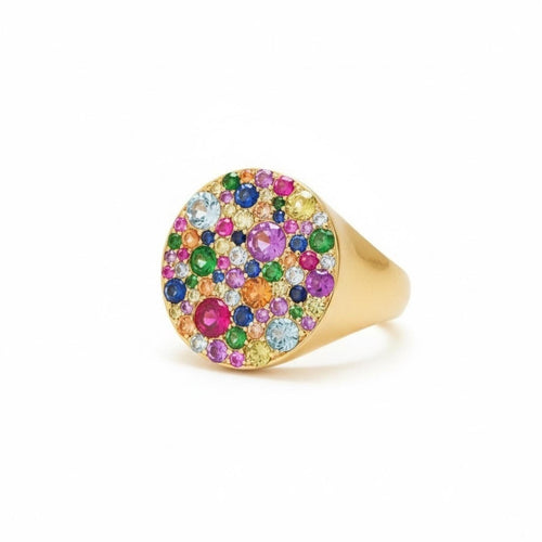 Eriness Style Multicolored Gemstones Rainbow Signet Ring Size 8 - Sable & Red