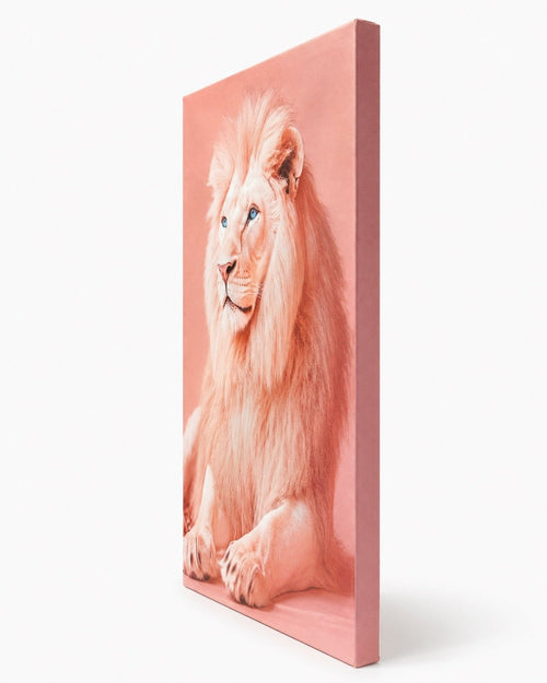 Blush Pink White Lion Canvas Wall Art with Blue Eyes – 18” x 12” - Sable & Red
