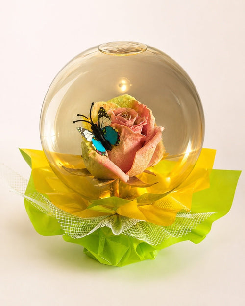 Rose & Butterfly Globe Romantic Keepsake Gift Decor - Sable & Red