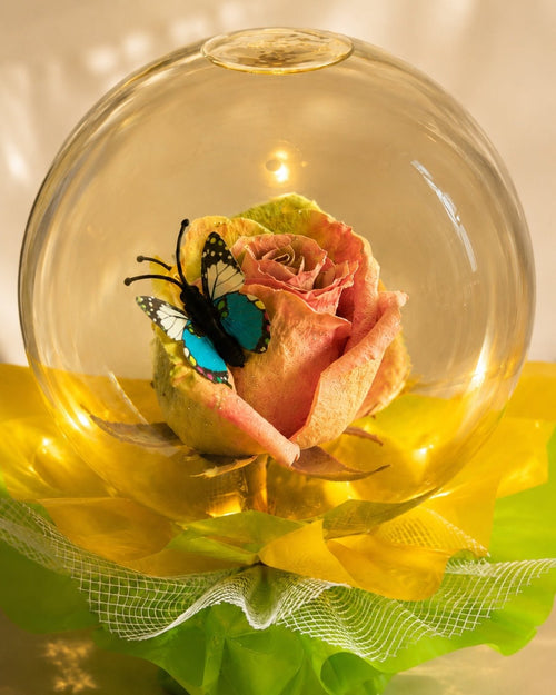 Rose & Butterfly Globe Romantic Keepsake Gift Decor - Sable & Red